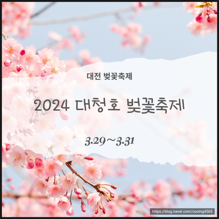  2024년 대전 대청호 벚꽃축제 공식 일정과 행사내용