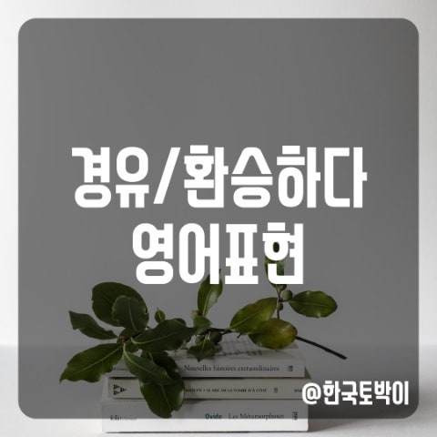  경유 환승하다 영어로 (레이오버 스탑오버 뜻)