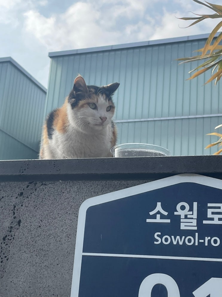  후암동 산책 서울역 가볼만한 곳