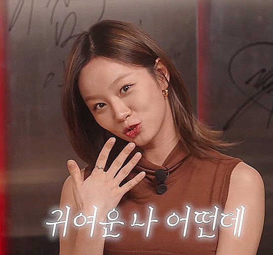 혜리 공백기 이유 1년 동안 집에만.마음의 여유 안 생기더라 혜리 공백기 이유 1년 동안 집에만.마음의 여유 안 생기더라