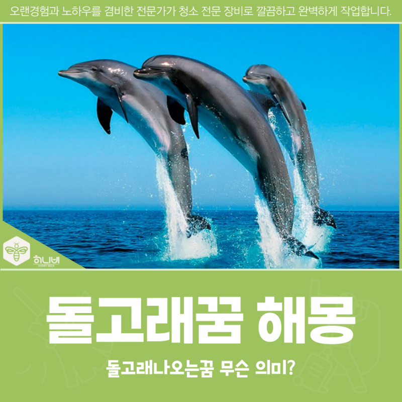 돌고래꿈 해몽, 돌고래나오는꿈 무슨 의미?