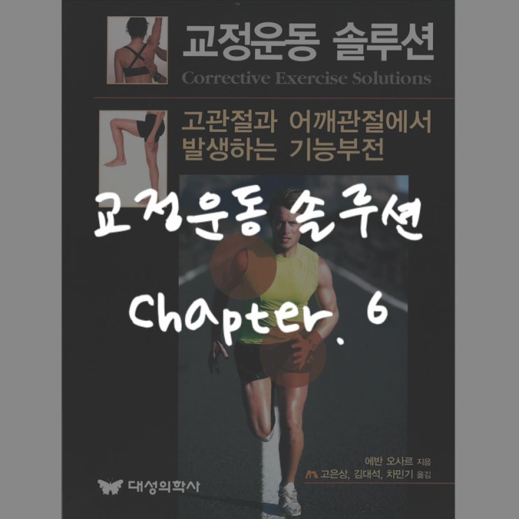  교정운동솔루션 : Chapter 6 - 교정운동과 움직임 패러다임의 개발
