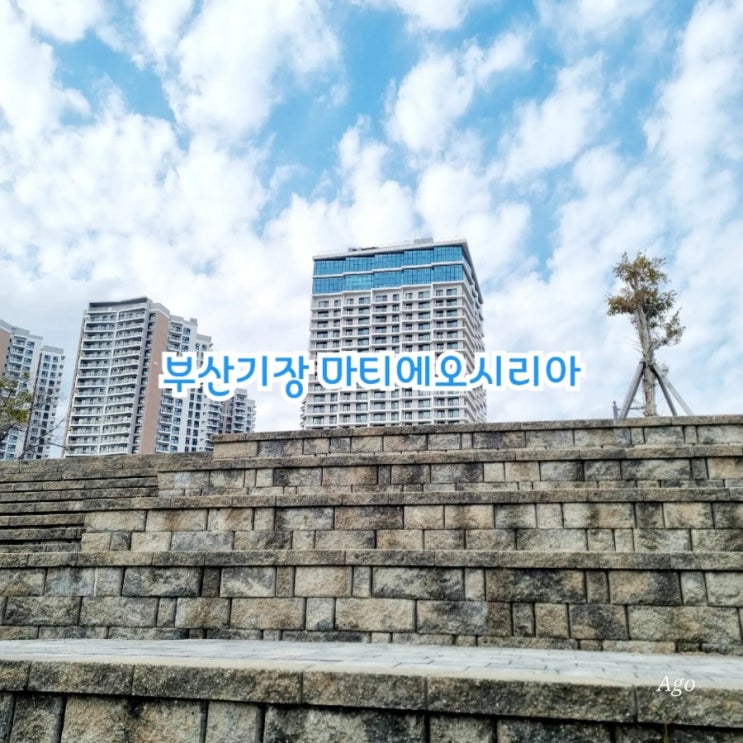  부산 가장 가볼만한곳 마티에오시리아 feat 송정해녀집