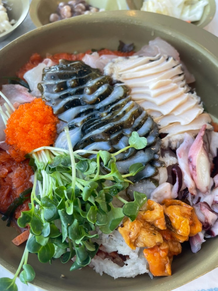  속초 오션뷰가 있는 해전물회 맛집 청초수물회 속초본점