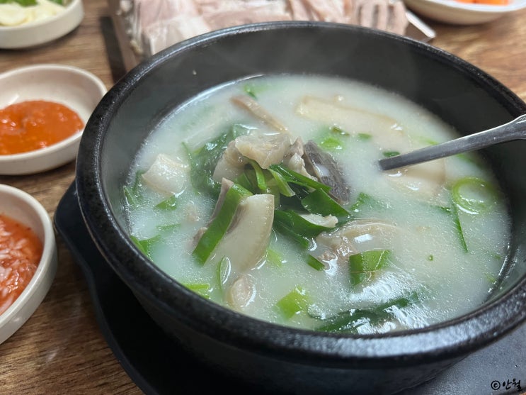  [신사동] 압구정 아바이왕순대 | 순대국과 보쌈