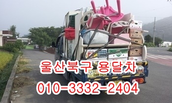 울산북구용달 모화 입실 외동 제주도 울릉도 불국사 방어진 정자. 울산북구용달 모화 입실 외동 제주도 울릉도 불국사 방어진 정자.
