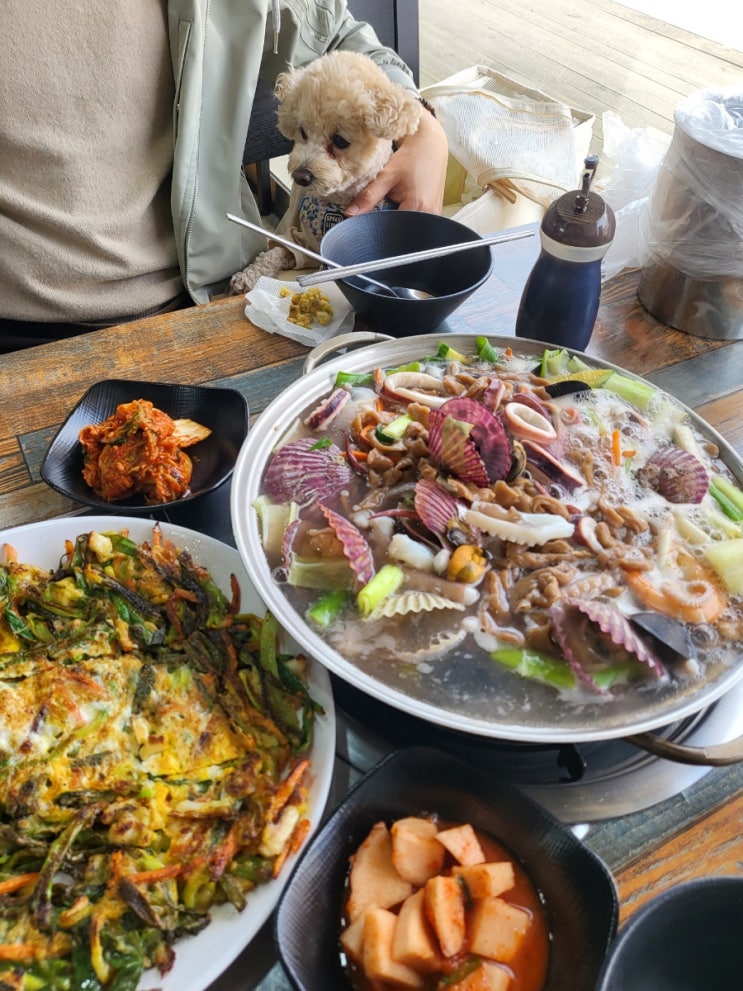  동막해수욕장 애견동반 맛집 강화칼국수 도토리 바지락 손칼국수