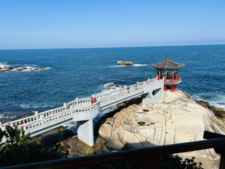  [속초가볼만한곳] 일출명소 영금정