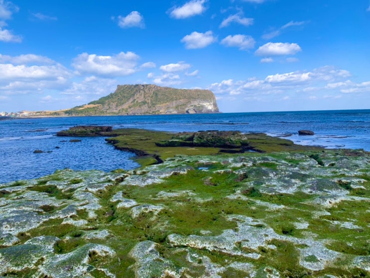 제주도 동쪽 가볼만한곳 광치기해변 주차 일몰 물때 제주도 동쪽 가볼만한곳 광치기해변 주차 일몰 물때