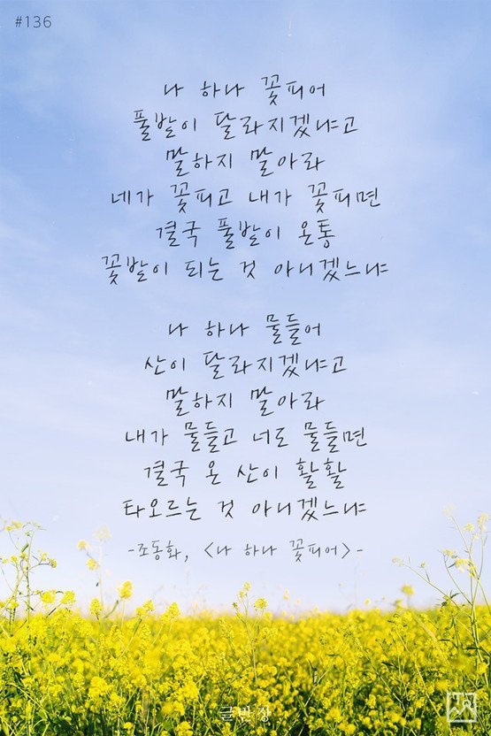  조국의 백호가 조국혁신당으로 나아가며...