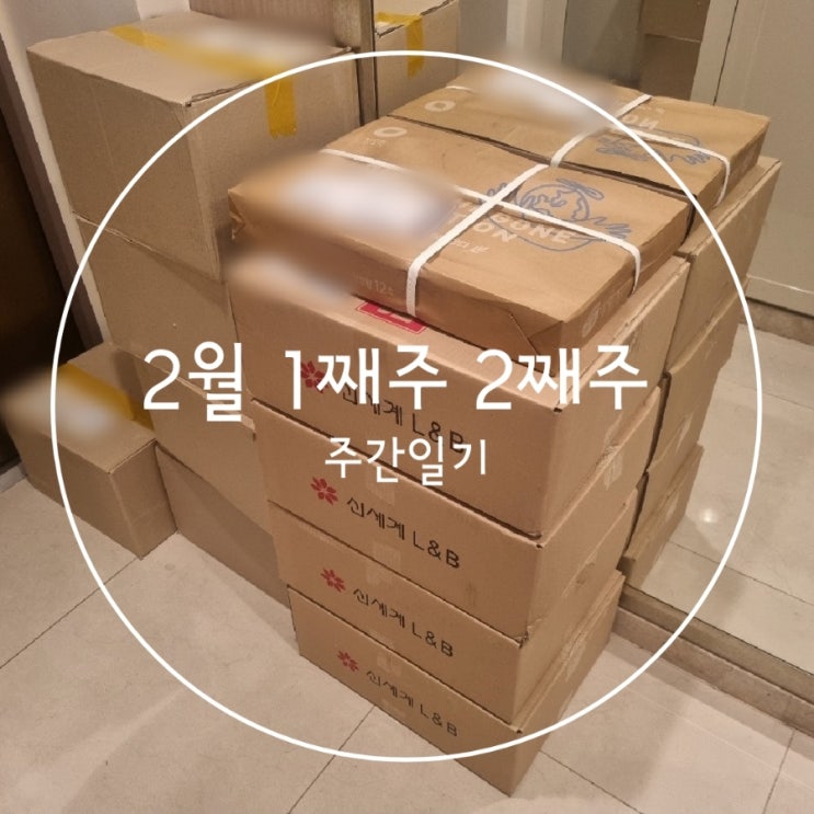  2월 1째주 2째주 주간일기 설날
