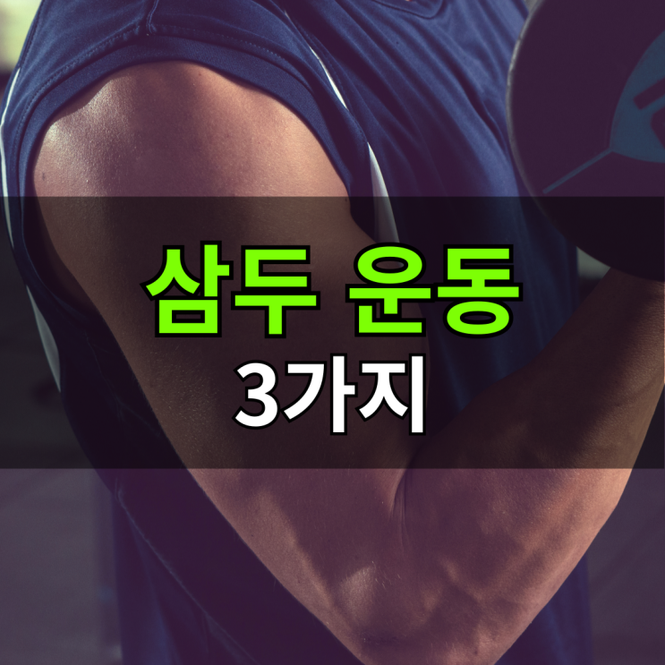  삼두 운동종류 3가지 : 두꺼운 팔뚝 만들기 방법