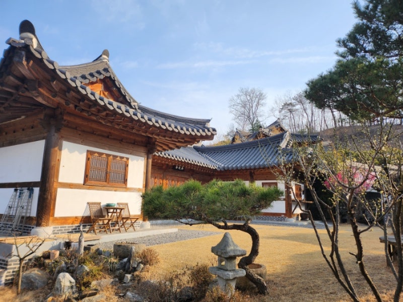 사진 3