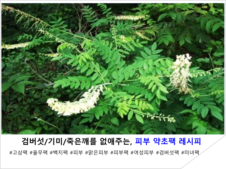  검버섯/기미/죽은깨를 없애주는, 피부 약초팩 레시피