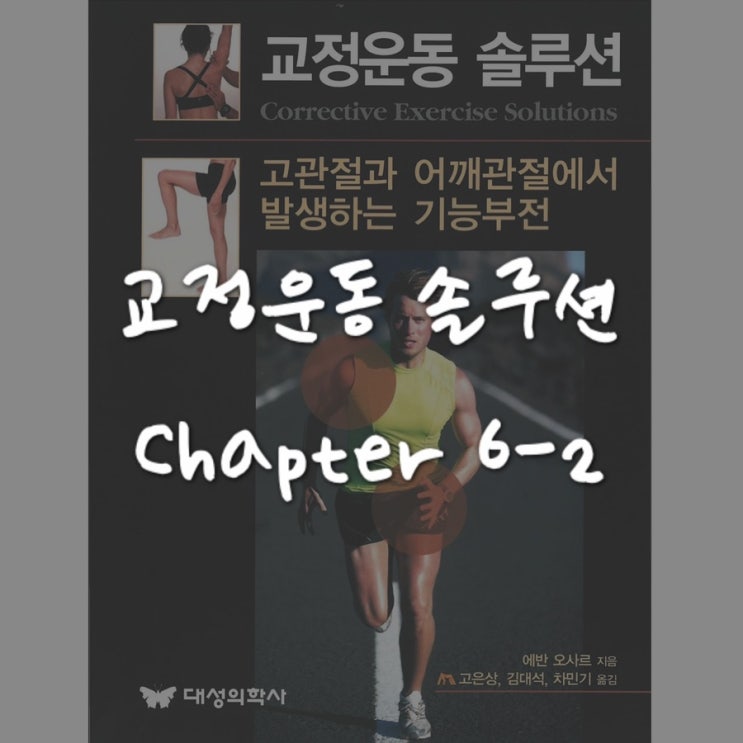  교정운동솔루션 : Chapter 6.2 - 교정운동과 움직임 패러다임의 개발