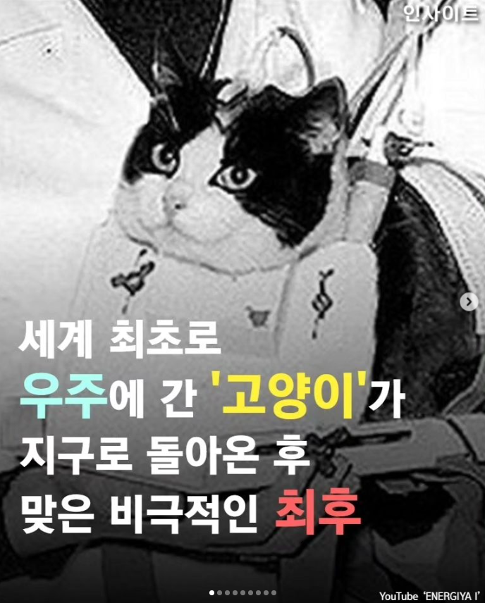 세계 최초로 우주에 간 고양이가 지구로 돌아온 후 맞은 비극적인 최후