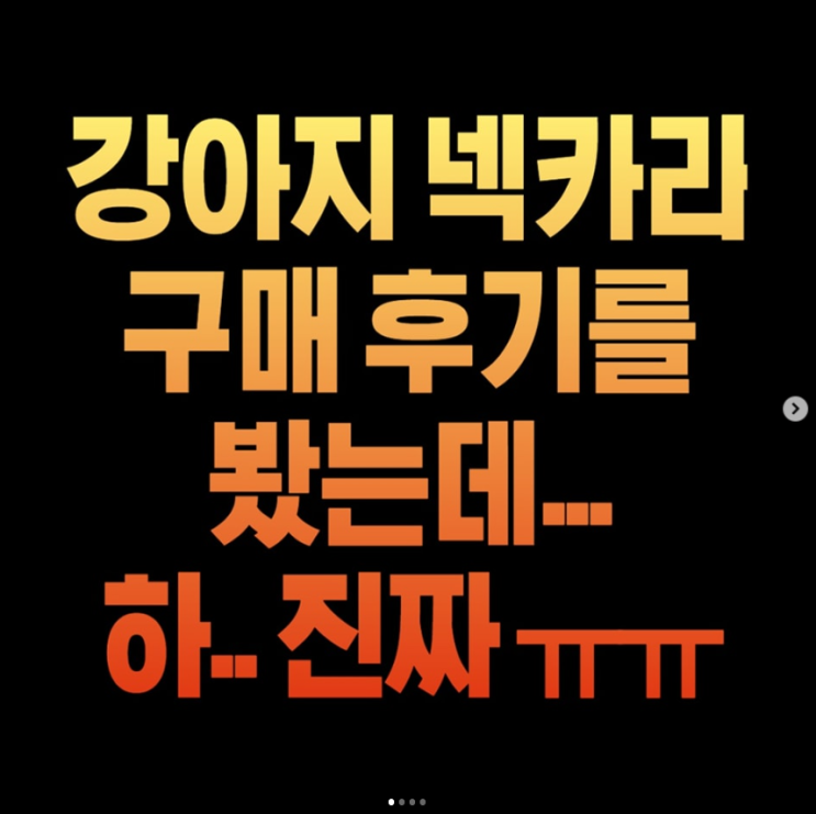 강아지 넥카라 구매 후기를 봤는데(귀여움)