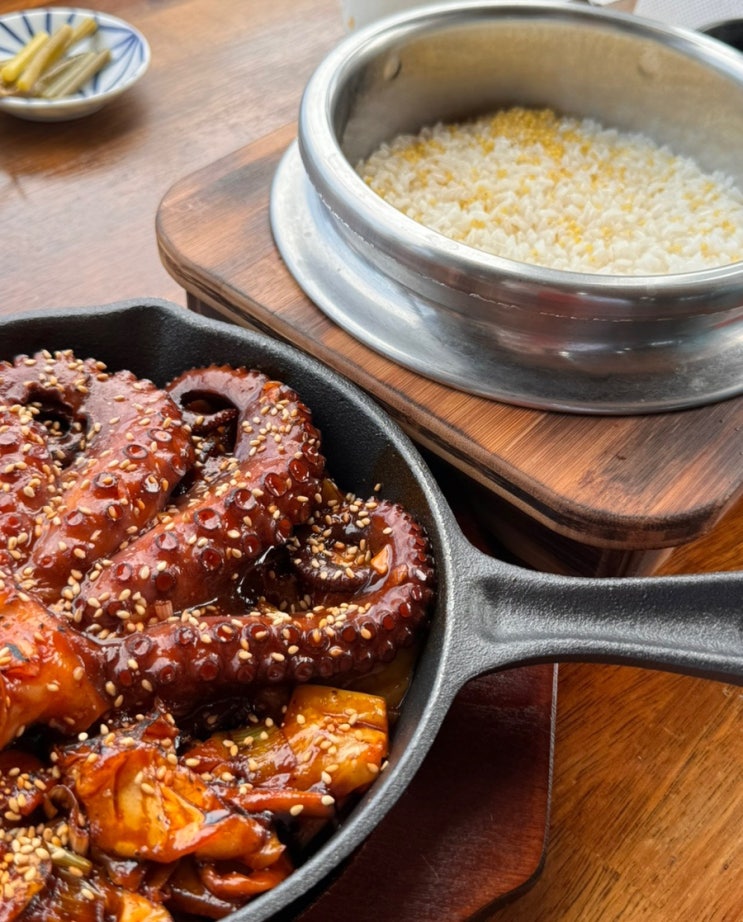  [제주/구좌] 오션뷰 돌문어덮밥 맛집_벵디