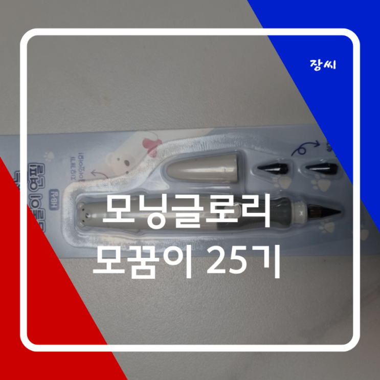  모닝글로리 제품 추천 오래 쓰는 곰돌이 연필