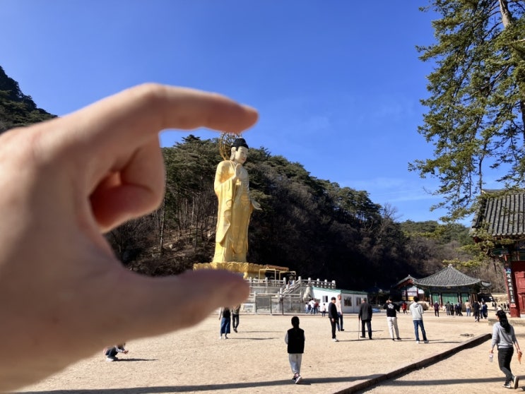 충북 보은 여행 속리산 법주사 불상 국보 보물