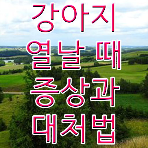  중구반려동물관리사1급  반려동물관리사  알고 싶은 정보 여기에