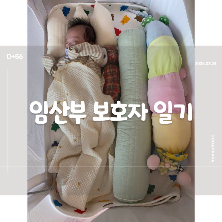 2024.03.24 임산부 보호자 일기 D+56일 2024.03.24 임산부 보호자 일기 D+56일