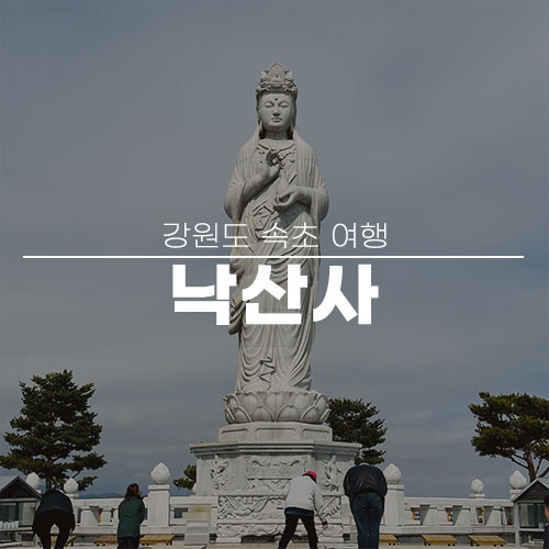 사진 11