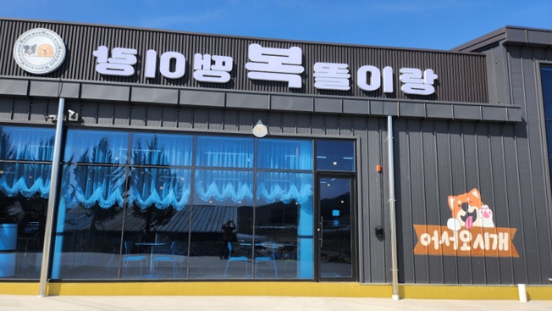 사진 2