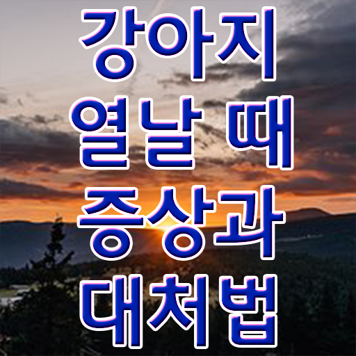  반려동물관리사 수업  반려동물관리사