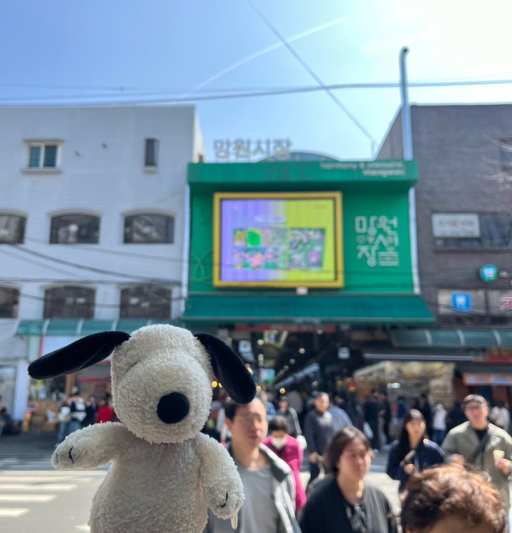  짧은 마포구 일상사진 덤프 | 숲속한방랜드 찜질방, 망원시장 먹거리