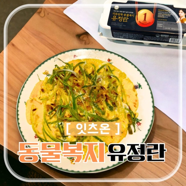  프레딧 자유방목 동물복지 유정란 다이어트 아침 식단 계란파전 키토 김밥 레시피