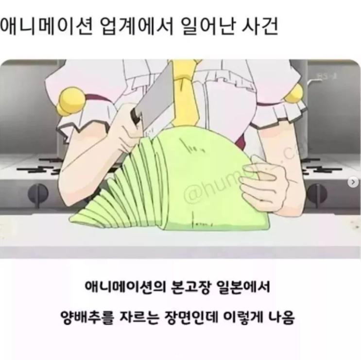  애니메이션 업계에서 일어난 사건(feat양배추)