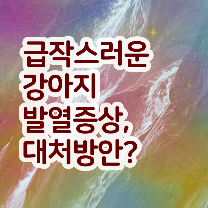  반려동물  반려동물 간호사 반려동물관리사  알려드릴게요