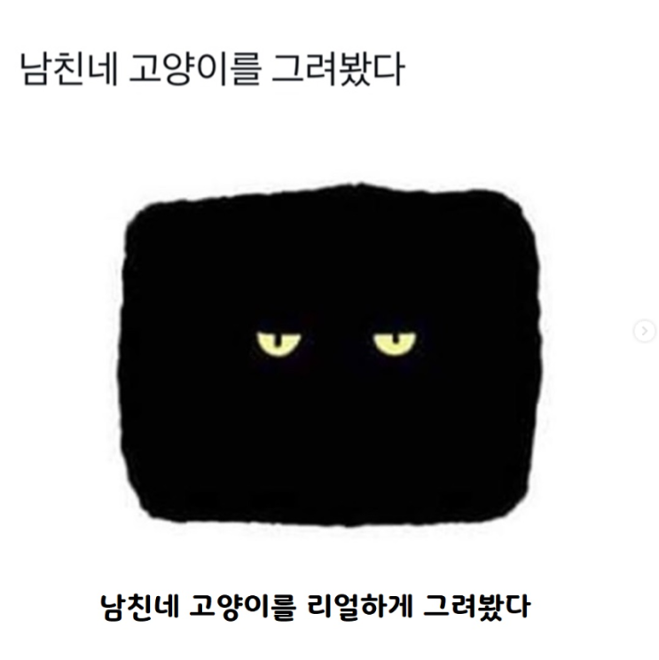 남친네 고양이를 그려봤다