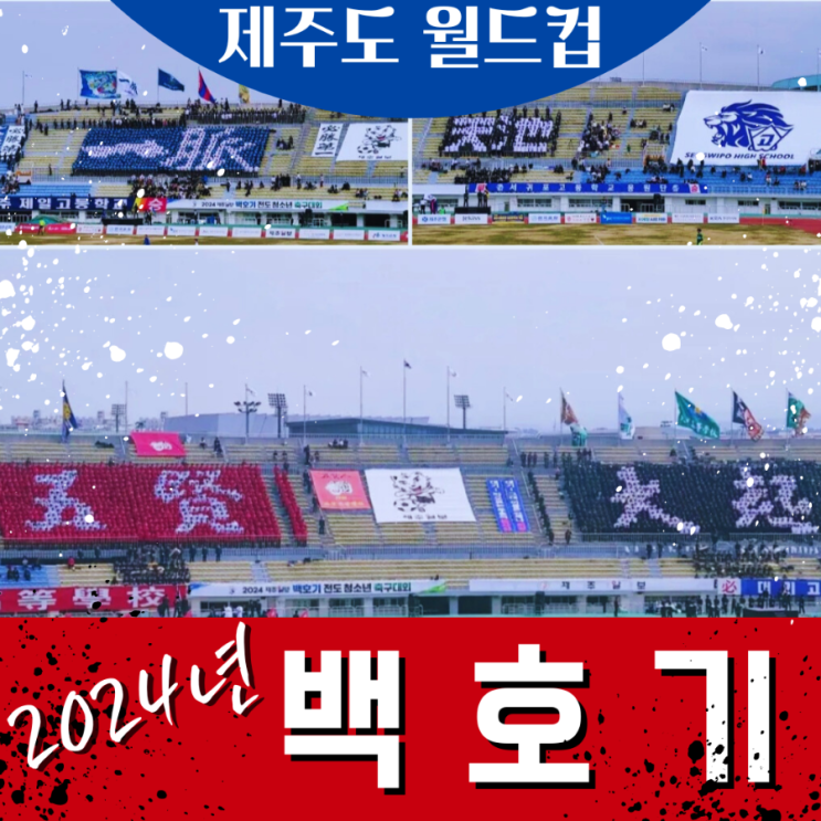  2024년 백호기 쟁탈 전도청소년축구대회 (제주)- 오현고 제주제일고 대기고 서귀포고 4강전 백호기 응원