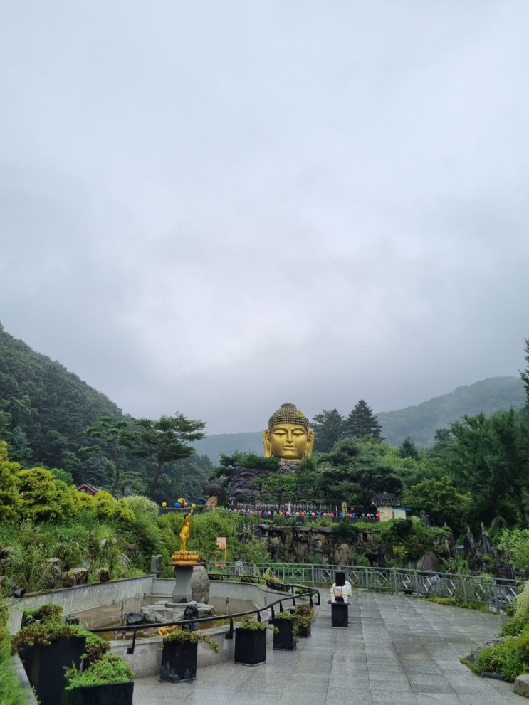  용인 와우정사 서울근교나들이