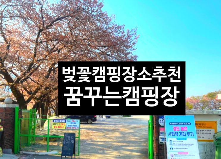 [경남 합천 캠핑장] 벚꽃 명소 '꿈꾸는 캠핑장' 방문 후기