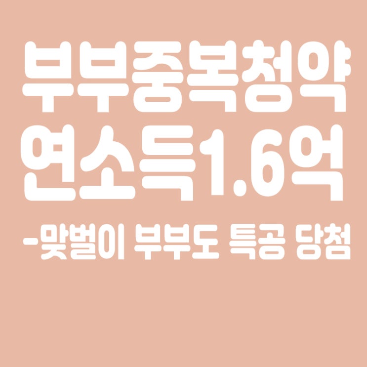 이달부터 부부 중복 청약,연소득 1.6억 맞벌이 부부도 특공 당첨