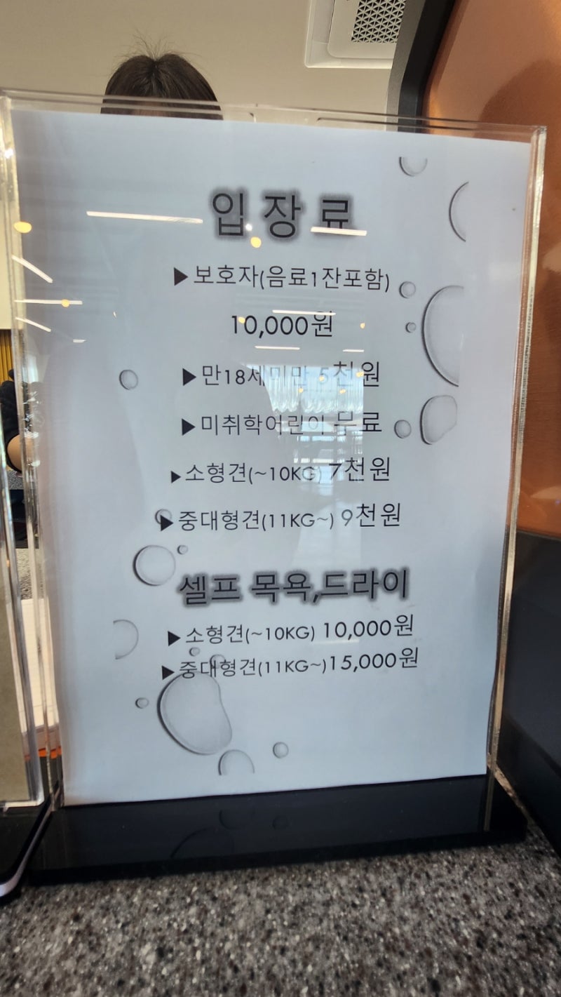 사진 3