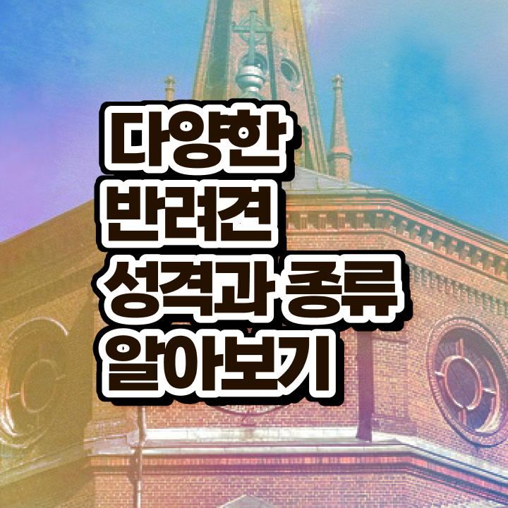  반려동물학개론  반려동물관리사