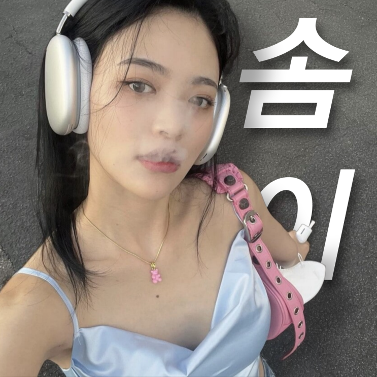 <b>성폭행</b> 무고죄 실형 받은 <b>걸그룹</b> 다이아 솜이 누구?