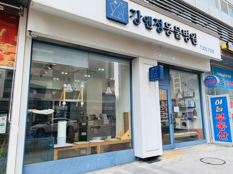  서대문구 동물병원 (강앤정 동물병원, 웨스턴 동물의료센터)