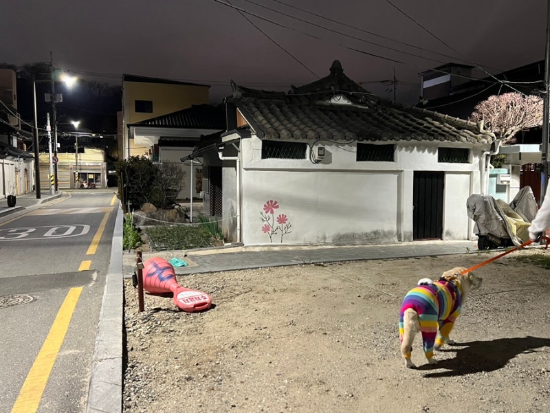 사진 10