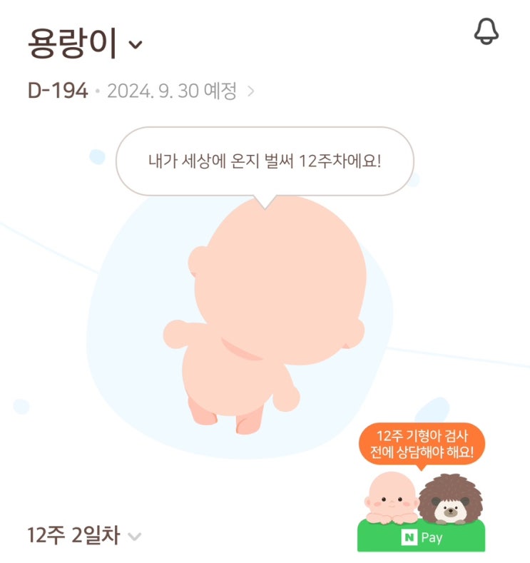 임신 12주차 | 부코스키 리틀 드라고, 모이라비 디데이달력