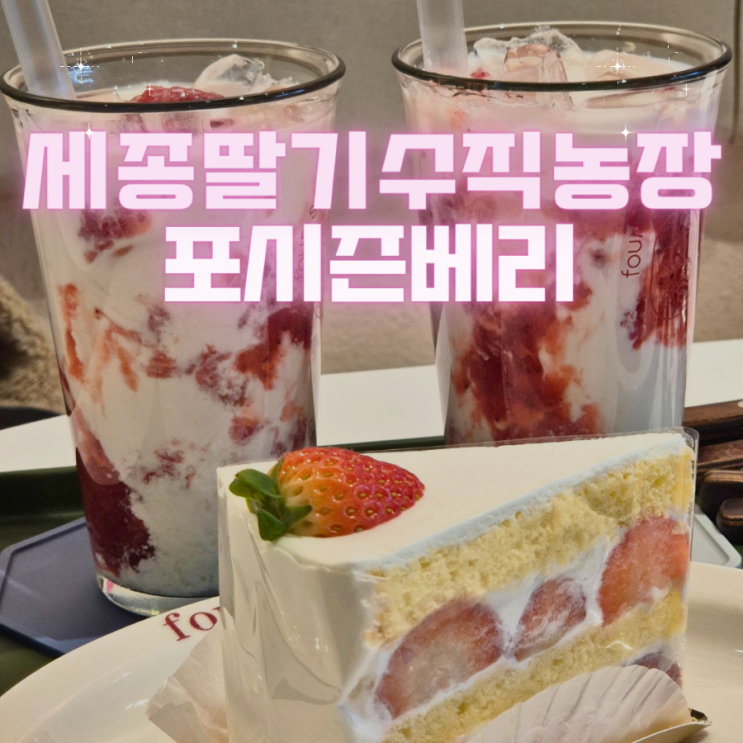  세종 이색적인 딸기수직농장 핑크카페 딸기케이크 디저트 맛집 - "포시즌베리"
