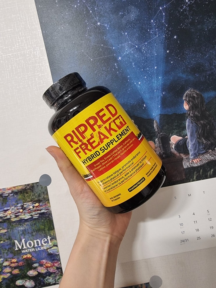  부스팅과 컷팅 그리고 식탐조절까지 단기다이어트에 리피드프릭 RIPEED FREAK