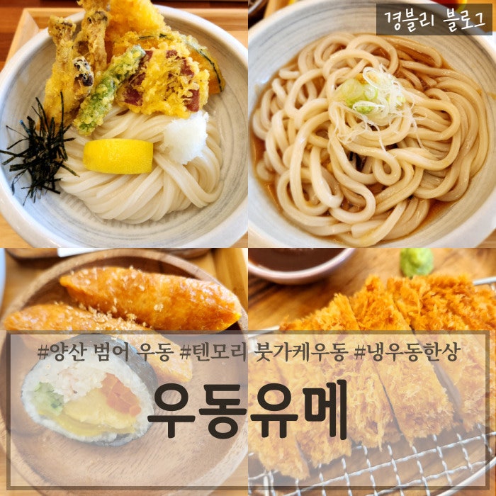  양산 범어 밥집 자가제면 붓가케우동이 맛있는 양산우동맛집 '우동유메'