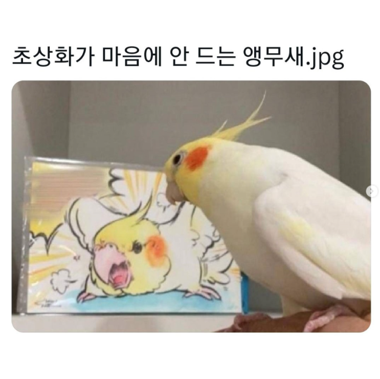  초상화가 마음에 안 드는 앵무새