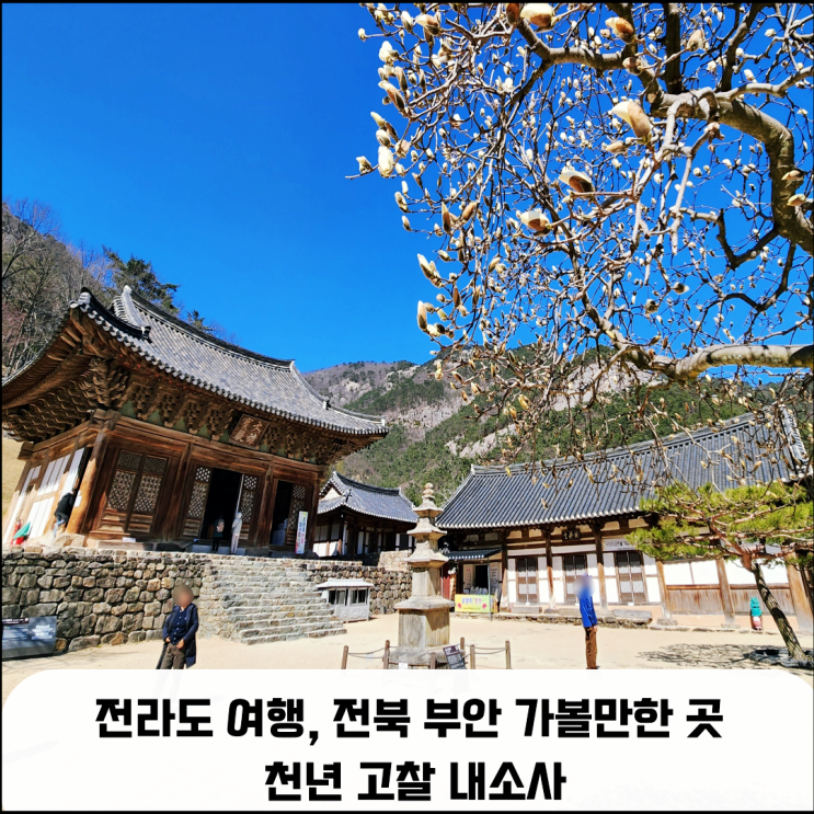  전북 부안 가볼 만한 곳, 천년고찰 내소사, 전나무 숲길, 벚꽃길 힐링 여행