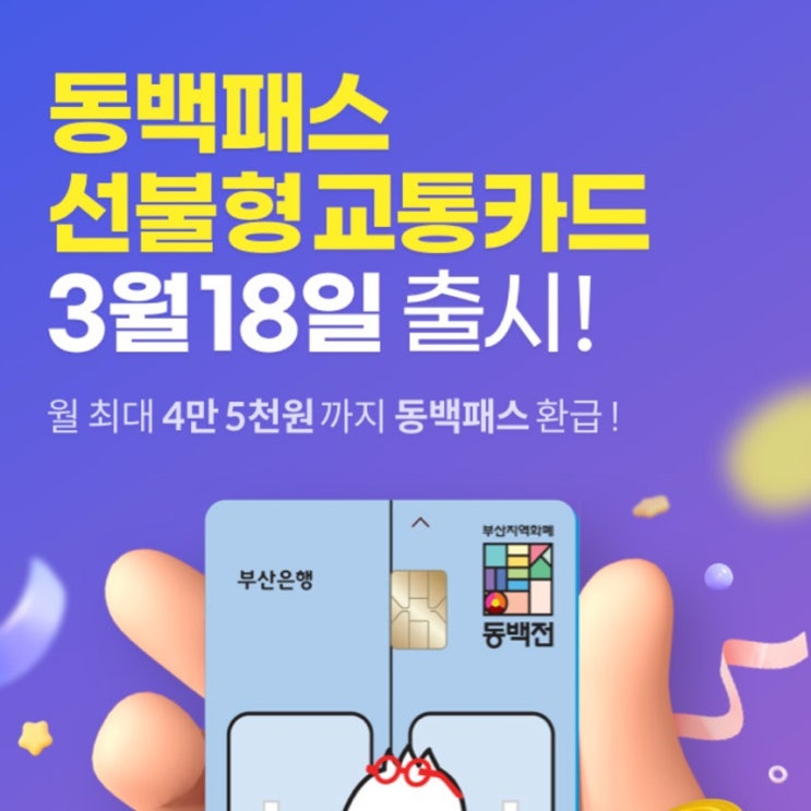  [부산, 동백전] 부산 동백전 동백패스 계좌개설 없이 선불교통카드 발급 인터넷 발급가능 농협은행 하나은행 부산은행 코나 뭘 고민해 BUSAN BANK BNK BUSANDONG100